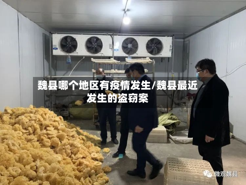 魏县哪个地区有疫情发生/魏县最近发生的盗窃案-第1张图片