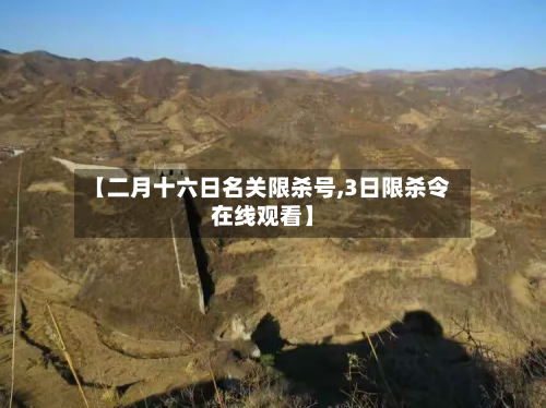 【二月十六日名关限杀号,3日限杀令在线观看】-第3张图片