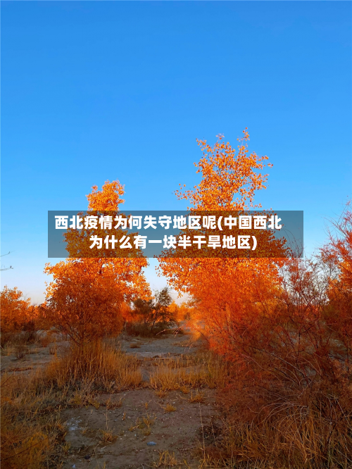 西北疫情为何失守地区呢(中国西北为什么有一块半干旱地区)-第2张图片