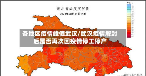 各地区疫情峰值武汉/武汉疫情解封后是否再次因疫情停工停产-第1张图片