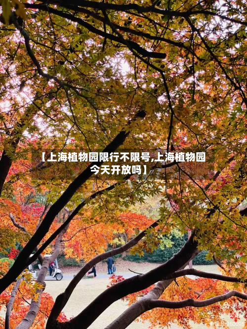 【上海植物园限行不限号,上海植物园今天开放吗】-第1张图片