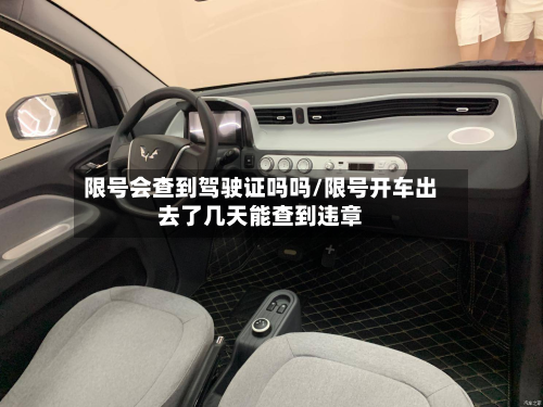 限号会查到驾驶证吗吗/限号开车出去了几天能查到违章-第3张图片