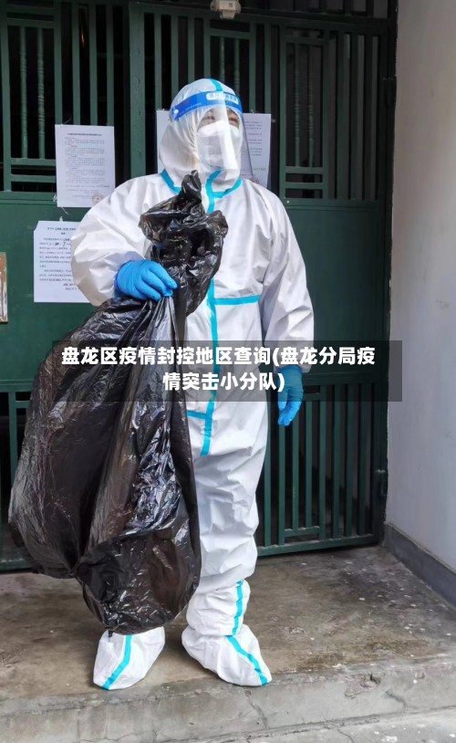 盘龙区疫情封控地区查询(盘龙分局疫情突击小分队)-第2张图片