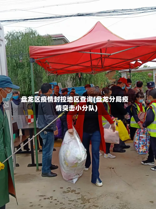 盘龙区疫情封控地区查询(盘龙分局疫情突击小分队)