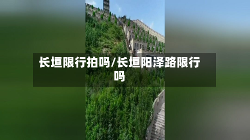 长垣限行拍吗/长垣阳泽路限行吗-第3张图片