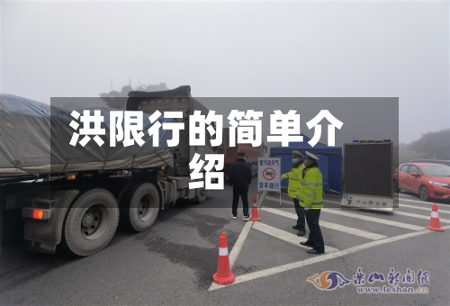 洪限行的简单介绍-第1张图片