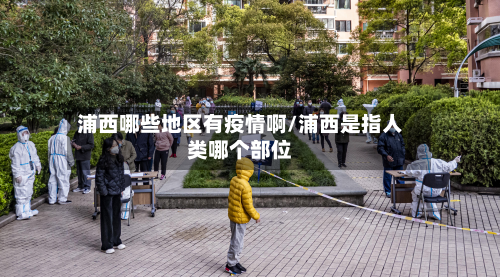 浦西哪些地区有疫情啊/浦西是指人类哪个部位-第1张图片