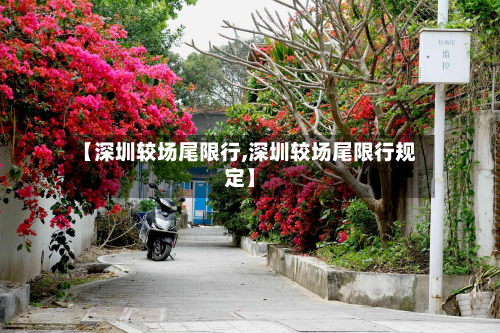 【深圳较场尾限行,深圳较场尾限行规定】-第2张图片