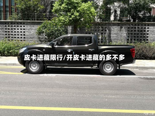 皮卡进藏限行/开皮卡进藏的多不多-第2张图片