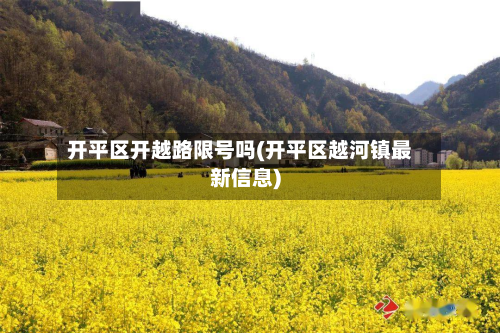 开平区开越路限号吗(开平区越河镇最新信息)-第3张图片