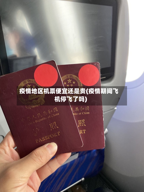 疫情地区机票便宜还是贵(疫情期间飞机停飞了吗)-第2张图片