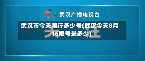 武汉市今天限行多少号(武汉今天8月16限号是多少)