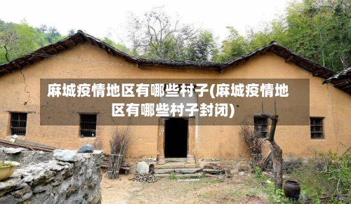 麻城疫情地区有哪些村子(麻城疫情地区有哪些村子封闭)-第1张图片