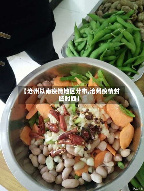 【沧州以南疫情地区分布,沧州疫情封城时间】-第2张图片