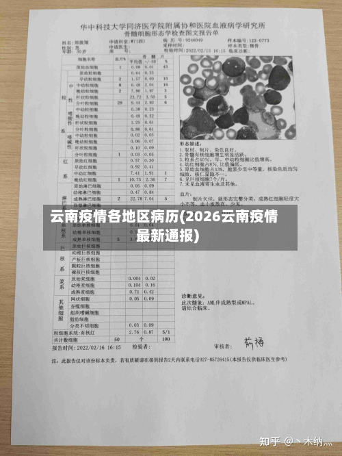 云南疫情各地区病历(2026云南疫情最新通报)-第3张图片
