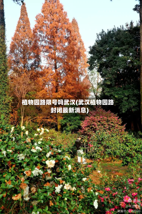 植物园路限号吗武汉(武汉植物园路封闭最新消息)-第2张图片