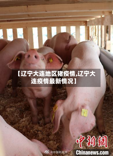 【辽宁大连地区猪疫情,辽宁大连疫情最新情况】