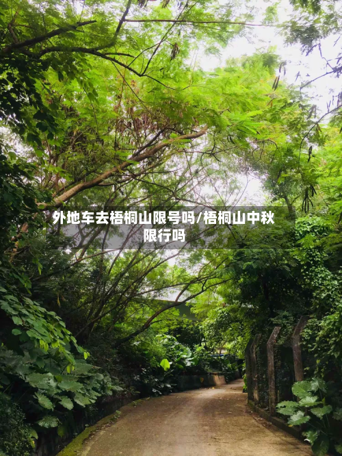 外地车去梧桐山限号吗/梧桐山中秋限行吗-第1张图片