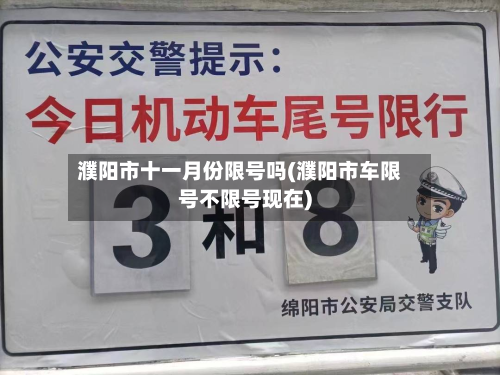 濮阳市十一月份限号吗(濮阳市车限号不限号现在)-第3张图片
