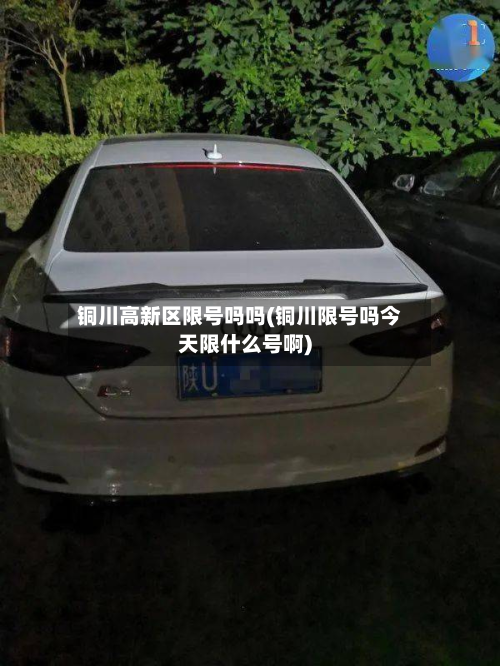 铜川高新区限号吗吗(铜川限号吗今天限什么号啊)-第1张图片
