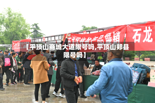 【平顶山商城大道限号吗,平顶山郏县限号吗】-第1张图片