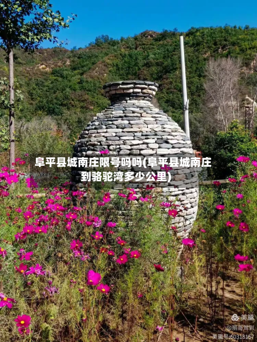 阜平县城南庄限号吗吗(阜平县城南庄到骆驼湾多少公里)-第1张图片
