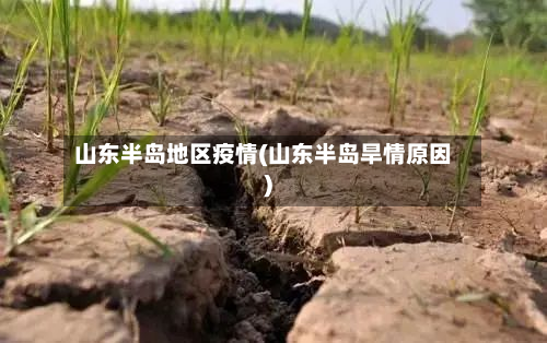山东半岛地区疫情(山东半岛旱情原因)-第2张图片