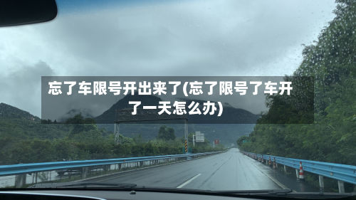 忘了车限号开出来了(忘了限号了车开了一天怎么办)