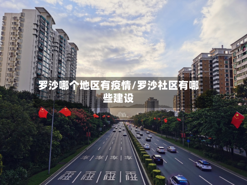 罗沙哪个地区有疫情/罗沙社区有哪些建设-第1张图片