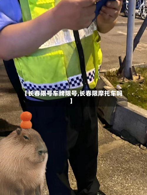 【长春限号车牌限号,长春限摩托车吗】-第3张图片