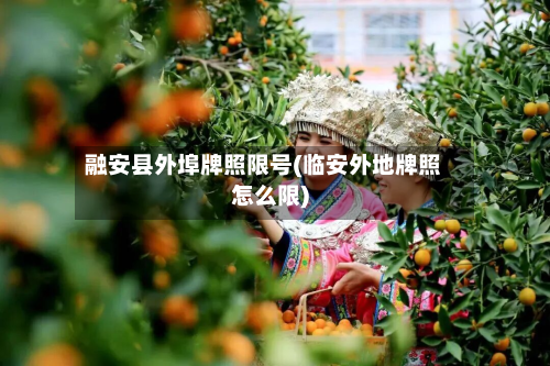 融安县外埠牌照限号(临安外地牌照怎么限)-第1张图片
