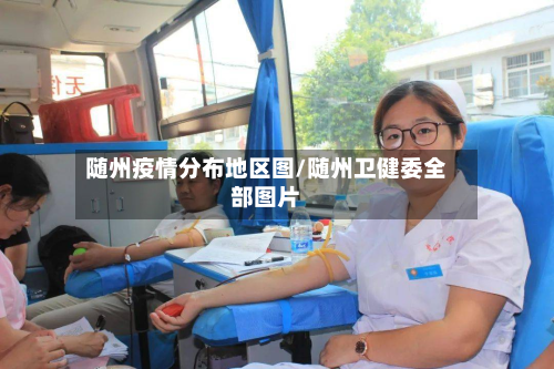 随州疫情分布地区图/随州卫健委全部图片-第2张图片