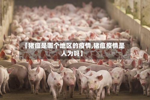 【猪瘟是哪个地区的疫情,猪瘟疫情是人为吗】-第3张图片