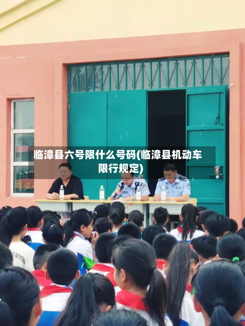 临漳县六号限什么号码(临漳县机动车限行规定)
