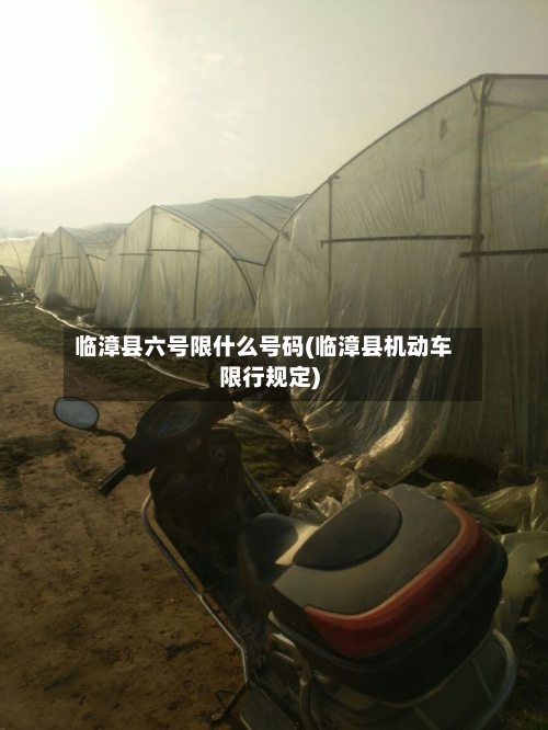 临漳县六号限什么号码(临漳县机动车限行规定)-第2张图片