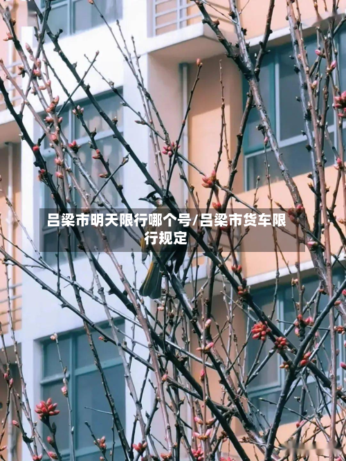吕梁市明天限行哪个号/吕梁市货车限行规定