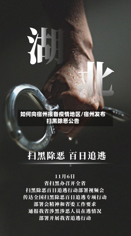 如何向宿州报备疫情地区/宿州发布扫黑除恶公告