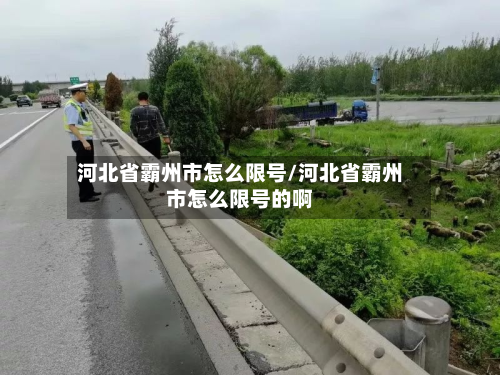 河北省霸州市怎么限号/河北省霸州市怎么限号的啊-第1张图片