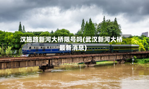 汉施路新河大桥限号吗(武汉新河大桥最新消息)-第1张图片