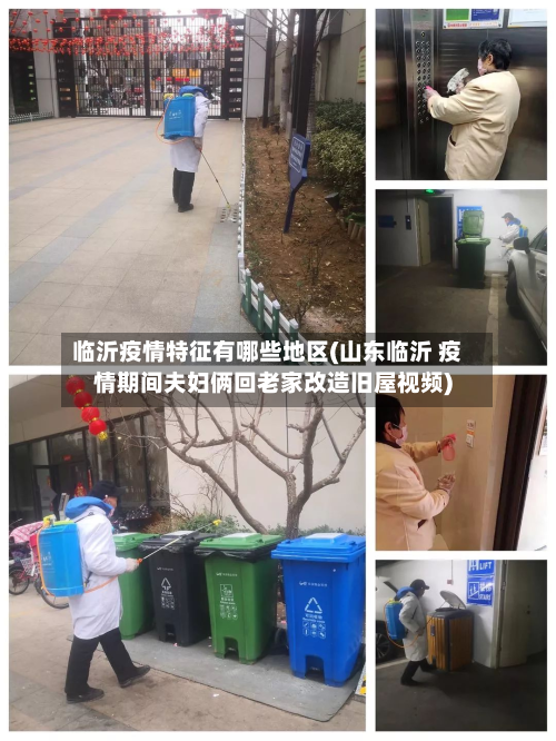 临沂疫情特征有哪些地区(山东临沂 疫情期间夫妇俩回老家改造旧屋视频)