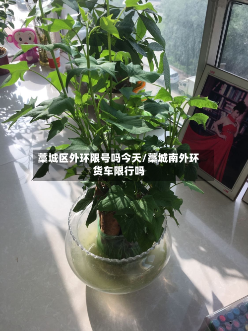 藁城区外环限号吗今天/藁城南外环货车限行吗-第3张图片