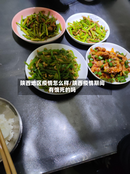 陕西地区疫情怎么样/陕西疫情期间有饿死的吗
