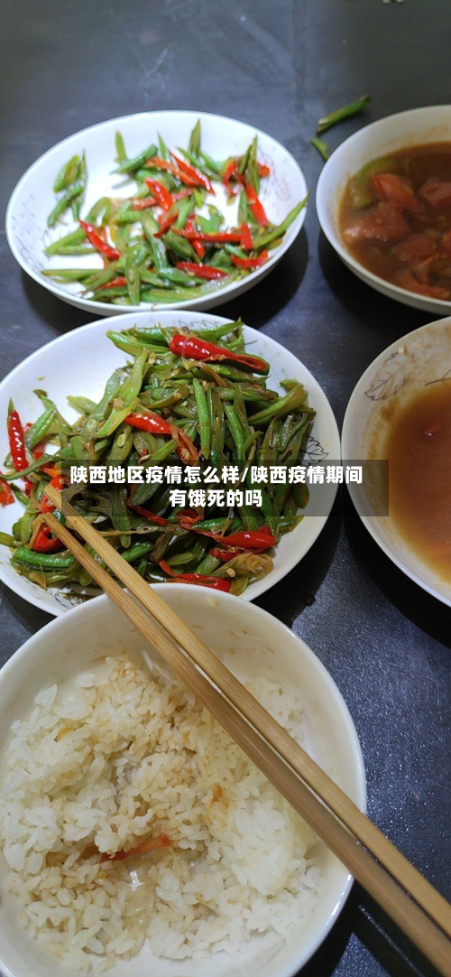 陕西地区疫情怎么样/陕西疫情期间有饿死的吗-第2张图片