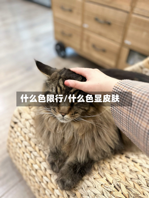 什么色限行/什么色显皮肤