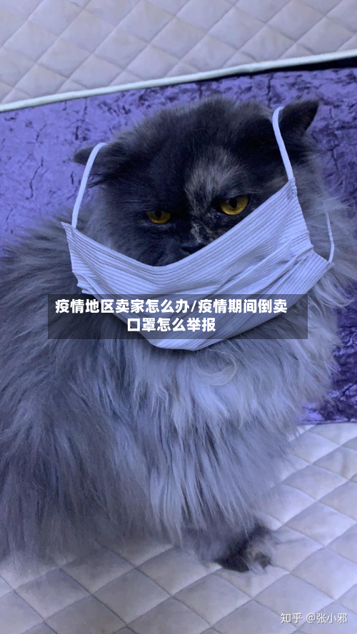疫情地区卖家怎么办/疫情期间倒卖口罩怎么举报-第3张图片
