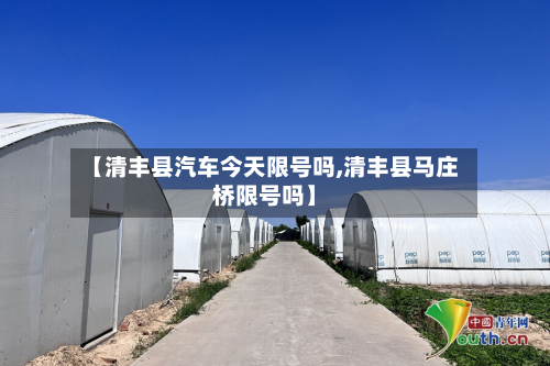 【清丰县汽车今天限号吗,清丰县马庄桥限号吗】-第2张图片