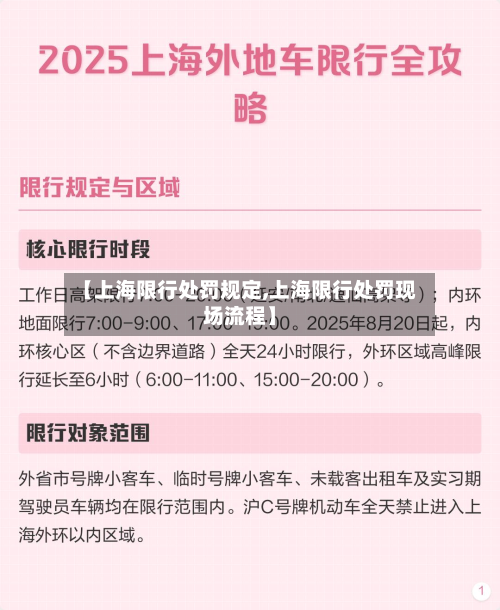 【上海限行处罚规定,上海限行处罚现场流程】