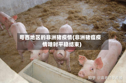 粤西地区的非洲猪疫情(非洲猪瘟疫情啥时平稳结束)-第1张图片