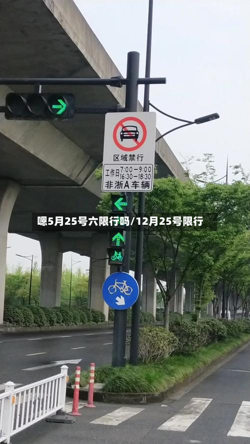 嗯5月25号六限行吗/12月25号限行-第1张图片