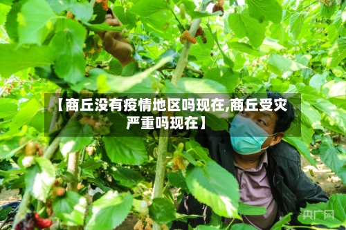 【商丘没有疫情地区吗现在,商丘受灾严重吗现在】-第1张图片